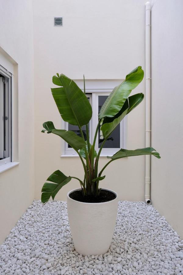 Urban Oasis La Palma Apartman Santa Cruz de la Palma  Kültér fotó